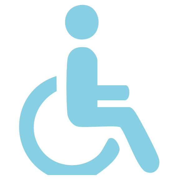Persons with disabilities and people with special needs